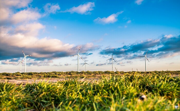 Windpark