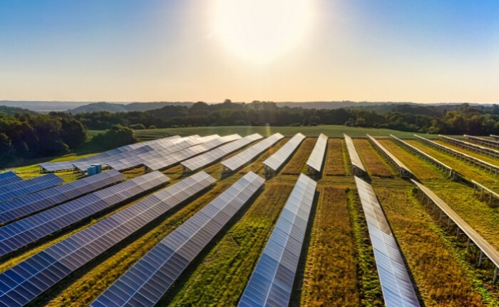 Solaranlagen: Konzern Versicherungskammer kauft weiter ein auf dem Gebiet der erneuerbaren Energien. | © Pexels / Tom Fisk 